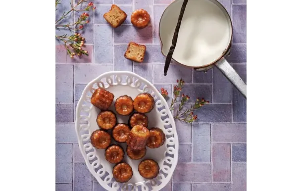 FLEXIPAN MOULE 30 MI EI-FX-02106-BA